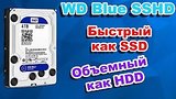  7 . 48 . WD Blue SSHD 4Tb .   WD SSD + HDD
: , 
: 16  2015