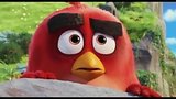  2 . 35 . Angry Birds      #2 (2016)
: , , 
: 13  2016