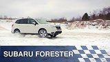  33 .  Subaru Forester
: , 
: 3  2016