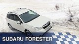  8 . 4 . - Subaru Forester
: , 
: 5  2016