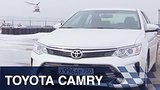  6 . 13 . - Toyota Camry
: , 
: 3  2016