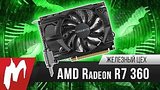  3 . 17 .    AMD Radeon R7 360     
: 
: 18  2016