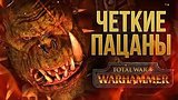  59 . 20 .    .     Total War: Warhammer
: 
: 27  2016