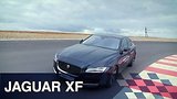  7 . 29 . - Jaguar XF
: , 
: 28  2016