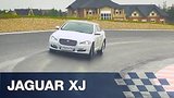  36 .  LifeTest JaguarXJ
: , 
: 29  2016