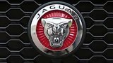  38 . 15 . Jaguar F-PACE -  -
: , 
: 10  2016