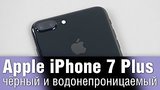  4 . 31 . Apple iPhone 7 Plus -   
: , 
: 19  2016