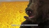  1 . 4 . Russian bear and PIKO TARO
: , 
: 20  2017