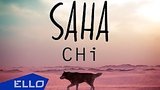  28 . ! SAHA - CHI ()
: , 
: 24  2017