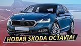  9 . 49 .    Skoda Octavia 2020? |  
: , 
: 13  2019
