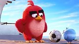  2 . 21 . Angry Birds   (2016) |  - ()
: , , 
: 29  2015